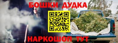 шишки Гудермес