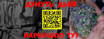шишки Гудермес