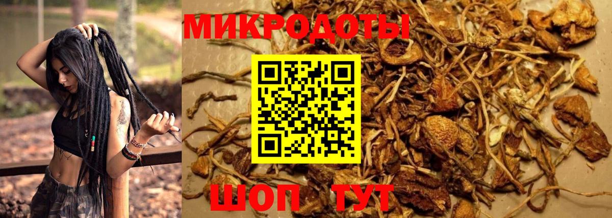 Псилоцибиновые грибы ЛСД  Вход с VPN  Полысаево 